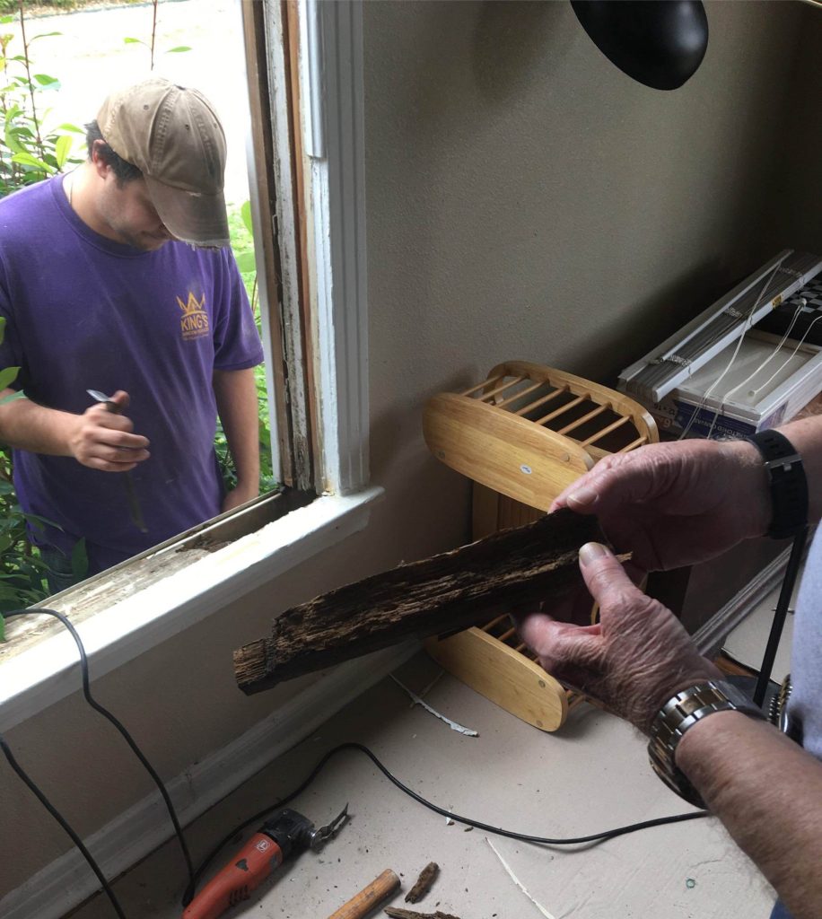 Window Replacement